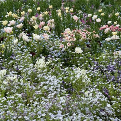 Lilgrjogx's profile picture. 忙しい日々の中にも、ふと季節を感じたい