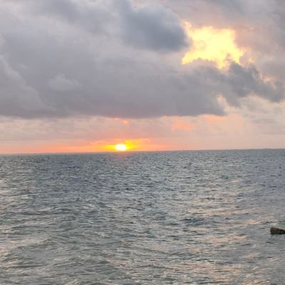 SenatorMwabonje's profile picture. Politics︱Law ︱Arsenal