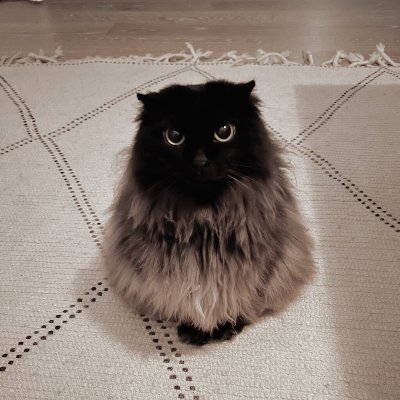 TEBx2AMUyI35327's profile picture. 