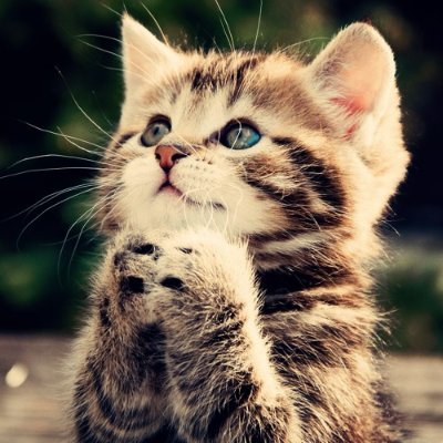 hoover_2507's profile picture. Exploring coding in LLM-era.