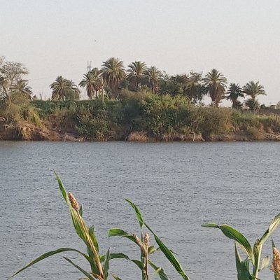 MAlbaqr36744's profile picture. 