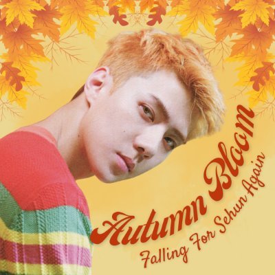 Sehun Military Discharge CSE Profile