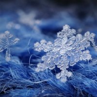snowflake (@coffeeroom801) 's Twitter Profile Photo snowflake (@coffeeroom801) 's Twitter Profile Photo