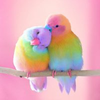Barrett Rangel (@barrcsngel) 's Twitter Profile