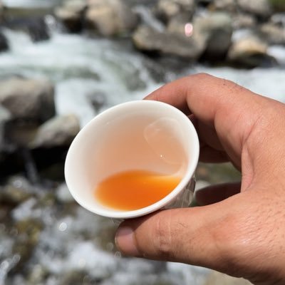 تسبني ؟ سبني.. ياجاحد الرفقه … انا العرب من علومي فيك تمدحني