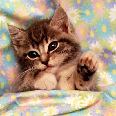 JuanBK_ethcali's profile picture. 