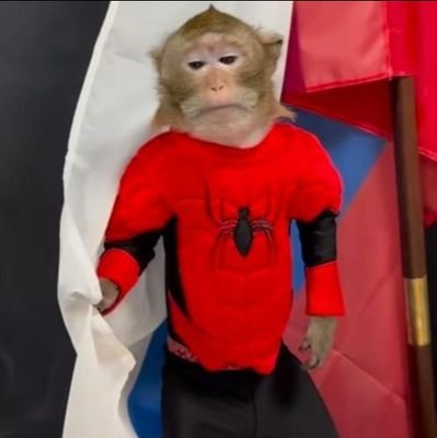 blaze2007xd's profile picture. .