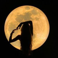 Peony (@peony_diala) 's Twitter Profile