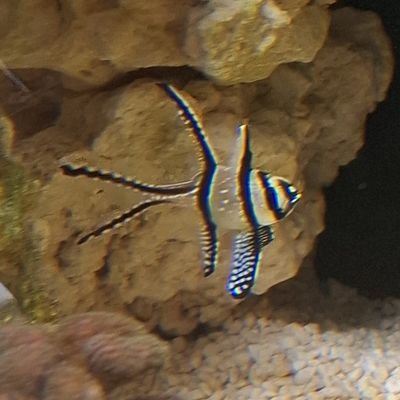 34Tony300's profile picture. 