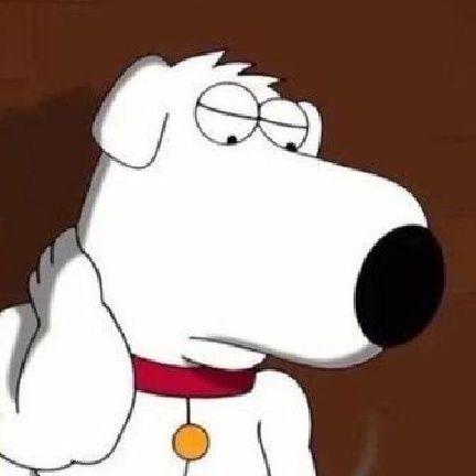 Holiskipper's profile picture. Find Direction