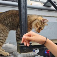 Chloe (@dale_loe) 's Twitter Profile Photo