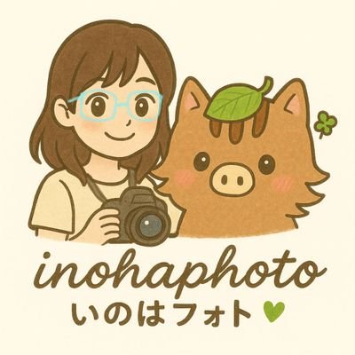 ニコンz9、レンズ:NIKKOR Z 600㎜
f/4、NIKKOR Z 100~400㎜
FUJIFILM 100II 使用📸
風景や花の写真をよく撮ります!
サーキット撮影もしてます🏍
いつも好きな時に好きなよう気ままに
写真撮っています(❁´꒳`❁)
サーキット撮影依頼お待ちしてます!
綾風の嫁です