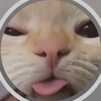 ciocikio (@rb_alvani) 's Twitter Profile