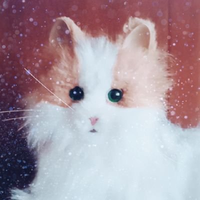 hyoshi930's profile picture. 料理を作るのが楽しい、
果物大好き🍉🍑