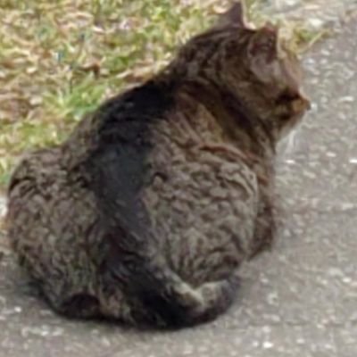 Gucci_Geki's profile picture. 