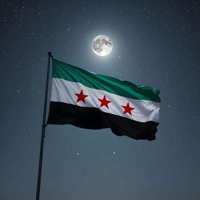 MH_NESTO's profile picture. سوريا الجديدة تحتاج إلى أن يتوقف أبناؤها عن لغة الاستعلاء والتحريض والاستفزاز،سوريا أولاً🇸🇾