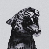 1 (@chamqionz) 's Twitter Profile