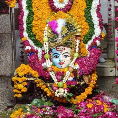 tanujashri22144's profile picture. Tanujashri