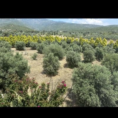 faralyali09's profile picture. Tüm mesele; İNSAN kalabilmek... İNSAN en kıymetli varlık.
İnsan doğmak anatomik ama insan kalabilmek...
Her dâim hakikate, hayra çıksın yolunuz kolaylıkla.