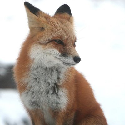 awake_068's profile picture. 人生の挑戦に、余裕で立ち向かう！

この社会には詐欺師が多すぎる、誠実さが何より大切！
👇詳しくはリンクからDMしてください💬
https://t.co/1VkMjunYau