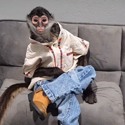 dolcevilara's profile picture. awoo? 🇳🇬🇮🇹