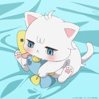 し。 (@_z_uoxou_z_) 's Twitter Profile