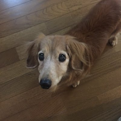 YI1018666426865's profile picture. AIフリーランス