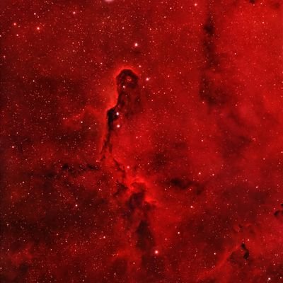 speakfacts24's profile picture. Sharing things for which terrorist psycho zoos and jeets r going to be burned in Hell 

🚫Jeets and zoos not allowed🚫