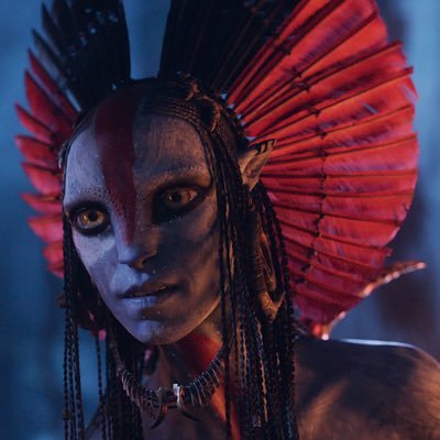 kittysmangos's profile picture. 16 !! 🪲🇲🇽