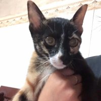klebjebjabjab (@okiknowiknow) 's Twitter Profile