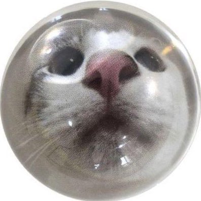 ssailaukan's profile picture. AI & Design @MBZUAI