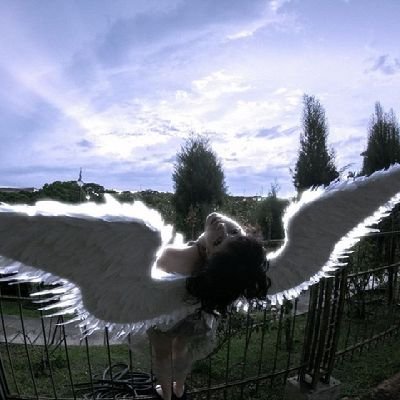 babybird1167204's profile picture. 