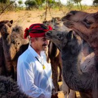 सुमेर सिंह भाटी सावंता (@sumerbhati99) 's Twitter Profile