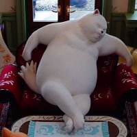 muta (@libe_oro) 's Twitter Profile