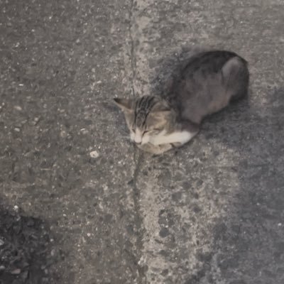 40hll7's profile picture. 