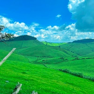 ndayishimyegad's profile picture. Man of God |CHEMIST/ Right time, Right activity.🏀