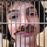 Toot 🇵🇸 (@byersindahouse) 's Twitter Profile Photo Toot 🇵🇸 (@byersindahouse) 's Twitter Profile Photo