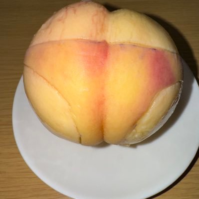 皆様よろしくお願いいたします🙏