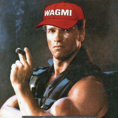dutch (WAGMI ARC) πΏπΉπ§²π«΅πΉπ¦π¨π₯πΈπ»β Profile