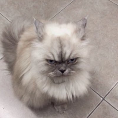 Nutthakorn87322's profile picture. 