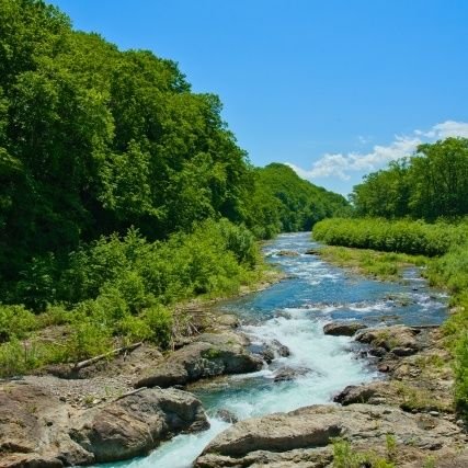 chinryu_study's profile picture. 08京大理志望/漢字/日本史/囲碁シル/モチタンID:@H88527