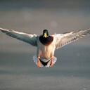 Wes Barton - @wabarton - Twitter