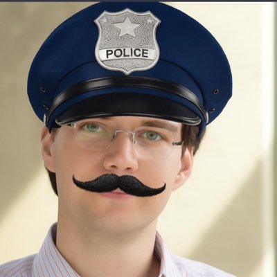 DZDP ENFORCER Profile