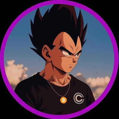 CryptoVegetaSS's profile picture. L'actu #BTC et #Crypto en temps réel 📲🗞