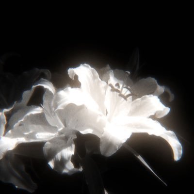 ☾朴成訓