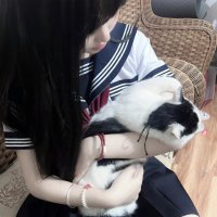 Dora (@dora939056) 's Twitter Profile