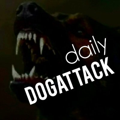 DailyDogAttack's profile picture. 