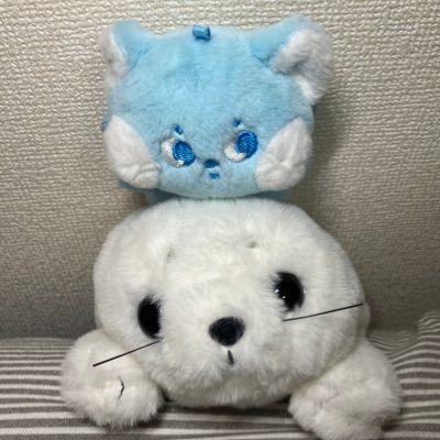 kaleidoscoper_'s profile picture. @Polalight_aoi と笑い合っていたいんだ