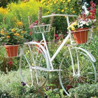 نور هان (@n__h_n_h_57) 's Twitter Profile