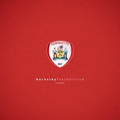 Barnsley Fc Fan, views are my own, game odd now and again